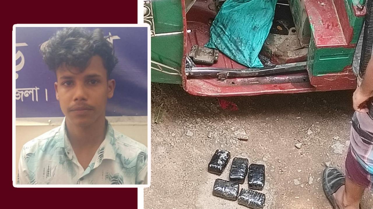 সংযুক্ত ছবি