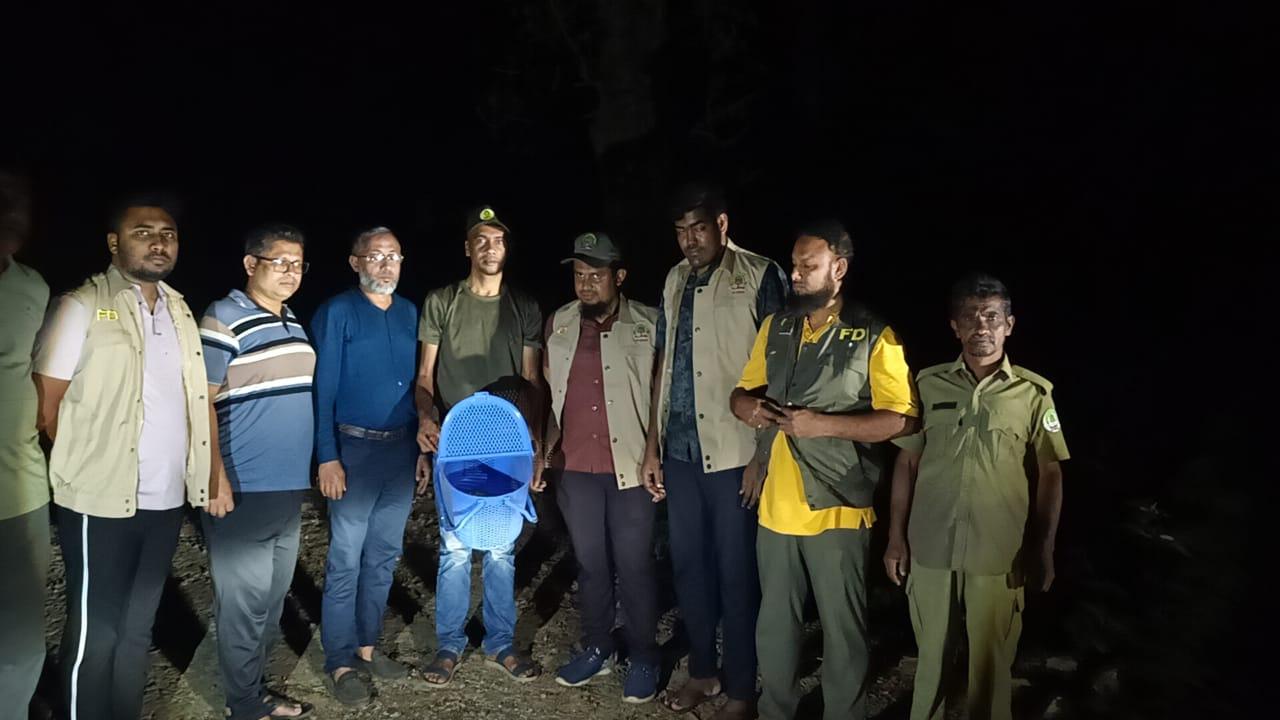 কাপ্তাই জাতীয় উদ্যানে বিপন্ন লজ্জাবতী বানর অবমুক্ত