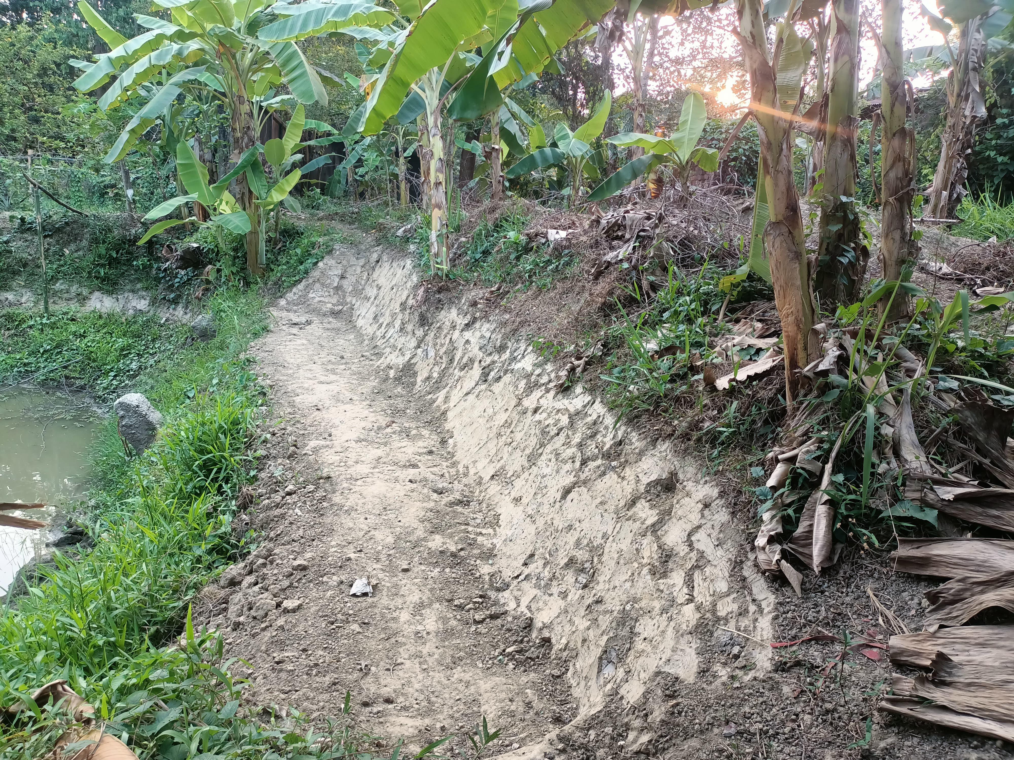 জায়গা সংক্রান্ত বিরোধ সাতকানিয়ায় জায়গার মাটি কেটে নেওয়ার অভিযোগ