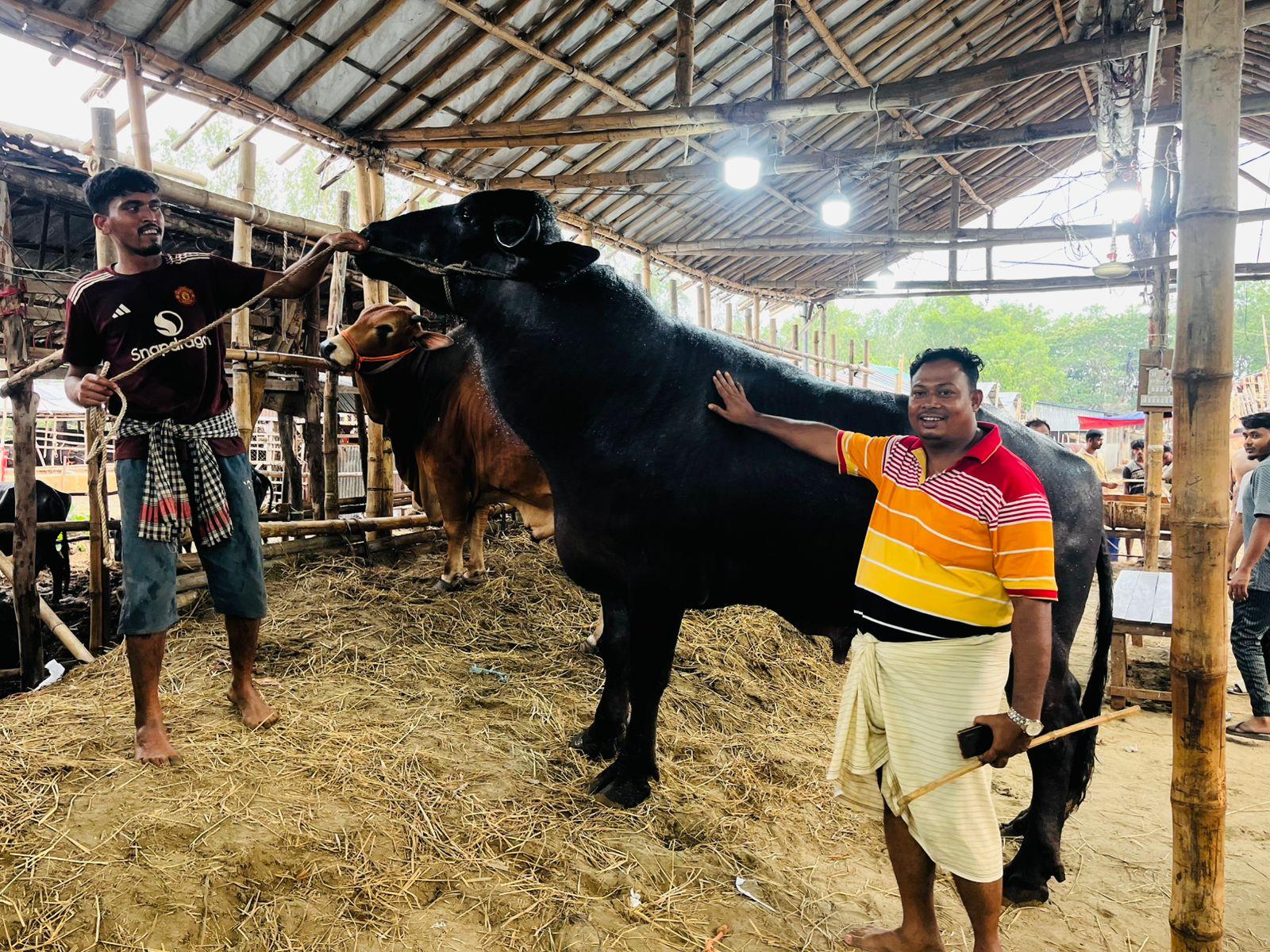 সংযুক্ত ছবি