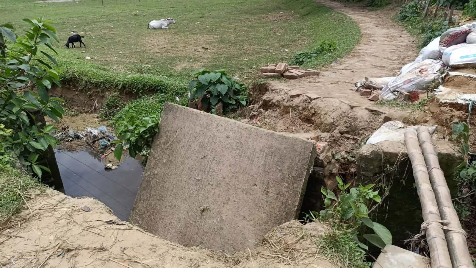 সংযুক্ত ছবি