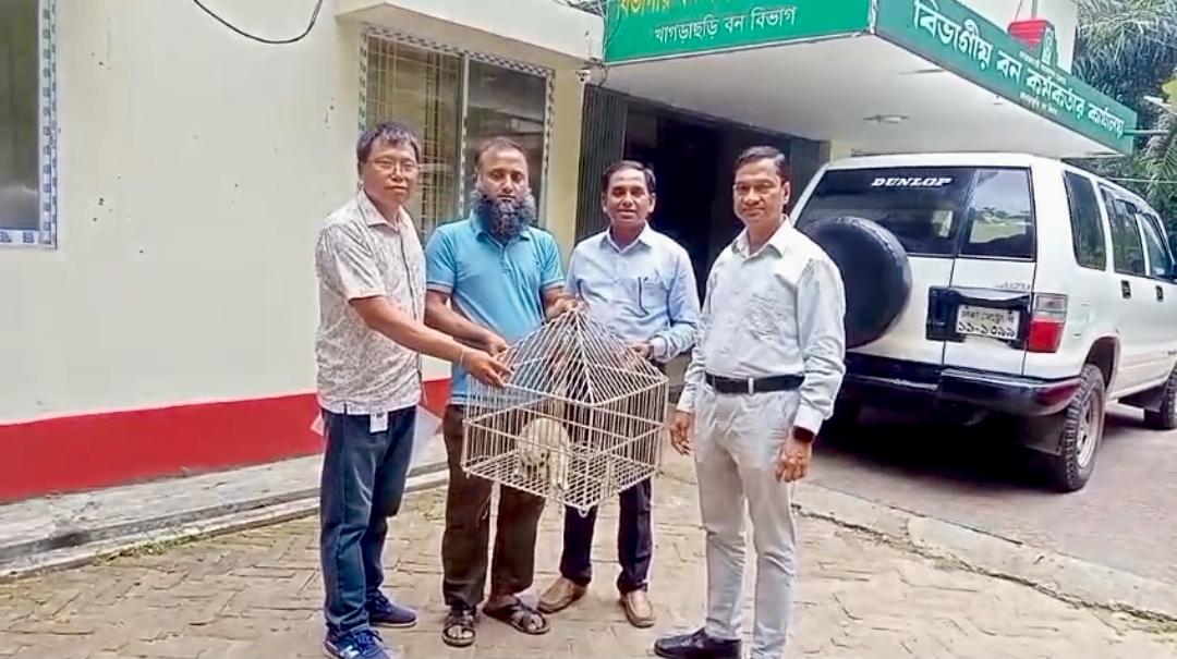 লোকালয়ে লজ্জাবতী বানর অবমুক্ত করলো বনবিভাগ