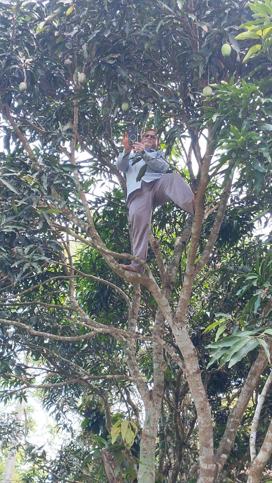 দুর্গম বাঘাইছড়িতে নেটওয়ার্ক নেই, গাছে উঠে হাজিরা দিলেন শিক্ষক