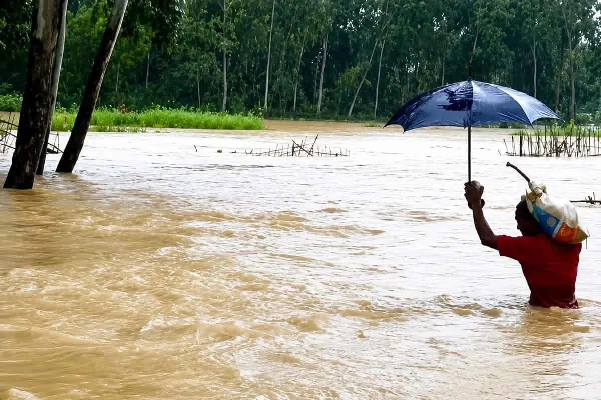 <h1>সীতাকুন্ডে ভারী বর্ষনে পুকুর ডুবে মাছ চাষে ব্যাপক ক্ষয়ক্ষতি&nbsp;</h1>