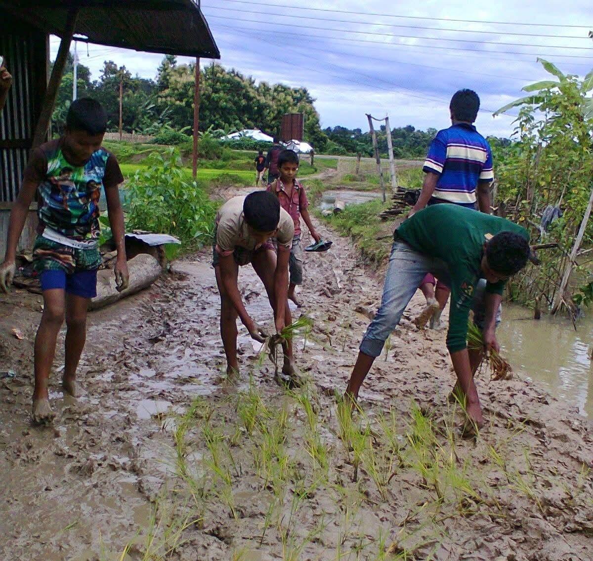 সংযুক্ত ছবি