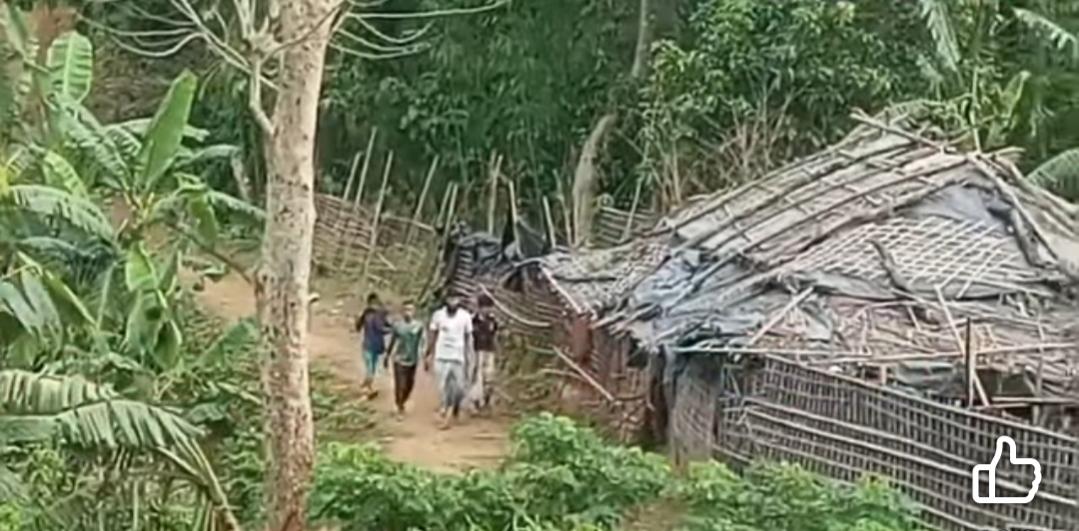 সংযুক্ত ছবি