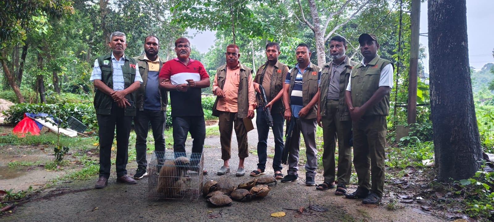 পাচারকালে ১টি হনুমান ও ১২টি কচ্ছপ সহ আটক-১