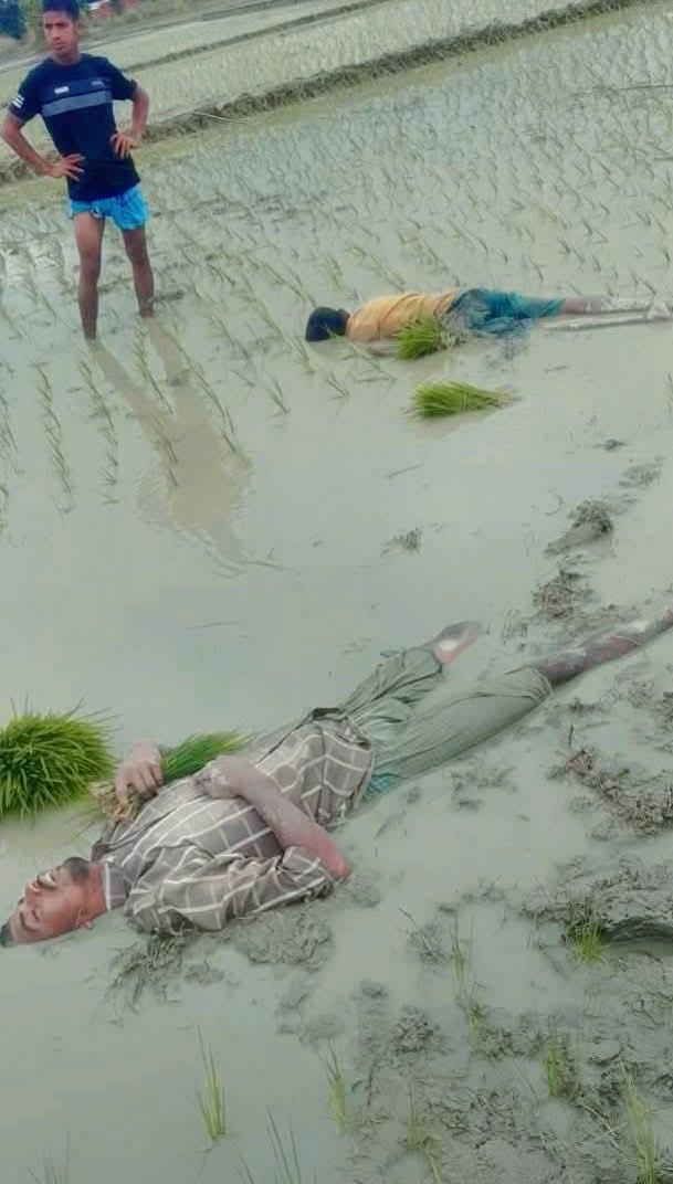 <h1>ফটিকছড়িতে দুই কৃষকের মর্মান্তিক মৃত্যু&nbsp;</h1>