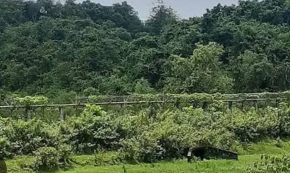 নাইক্ষ‍্যংছড়ির হাতিমারাঝিরি পয়েন্টে মিয়ানমার থেকে এলো ল্যান্ডমাইনের  বিকট শব্দ