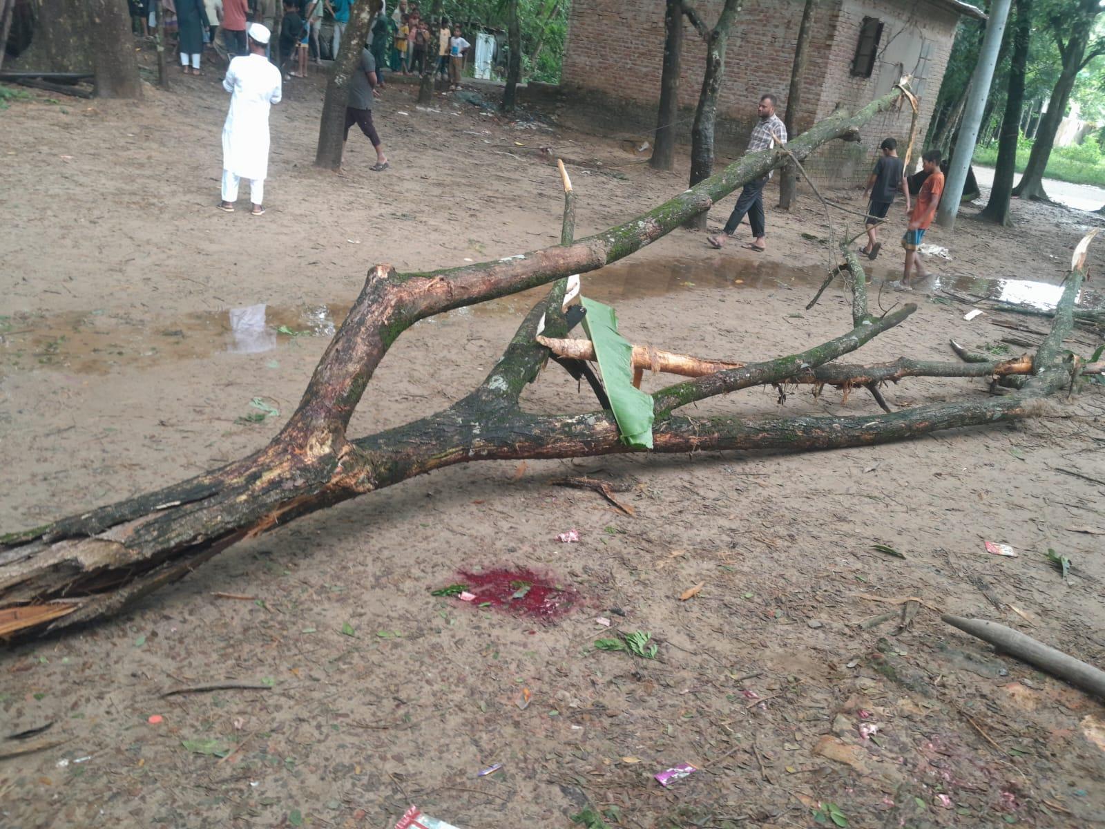 <h1>গাছের ডাল ভেঙে প্রাণ হারাল ১২ বছরের শিশু নিশিত</h1>