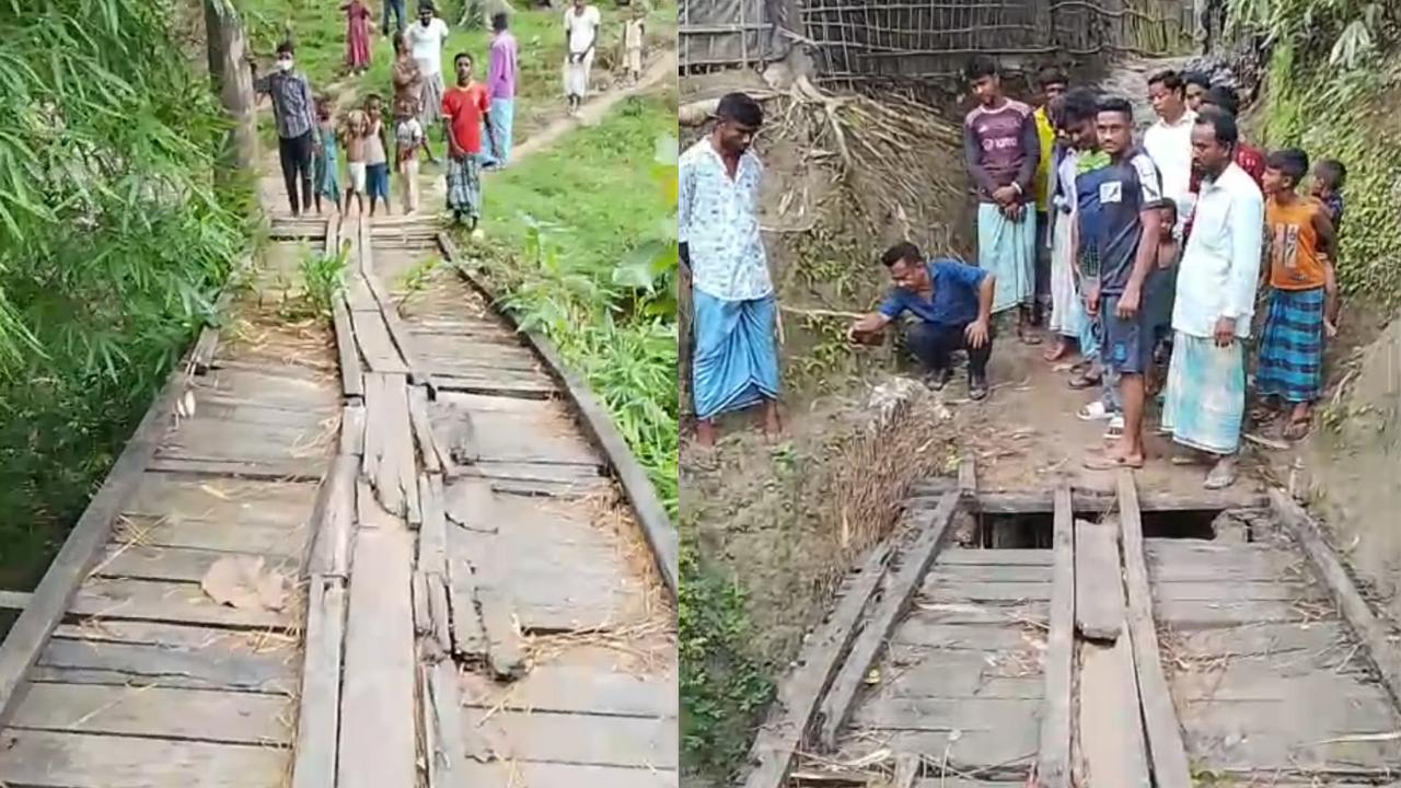 সংযুক্ত ছবি
