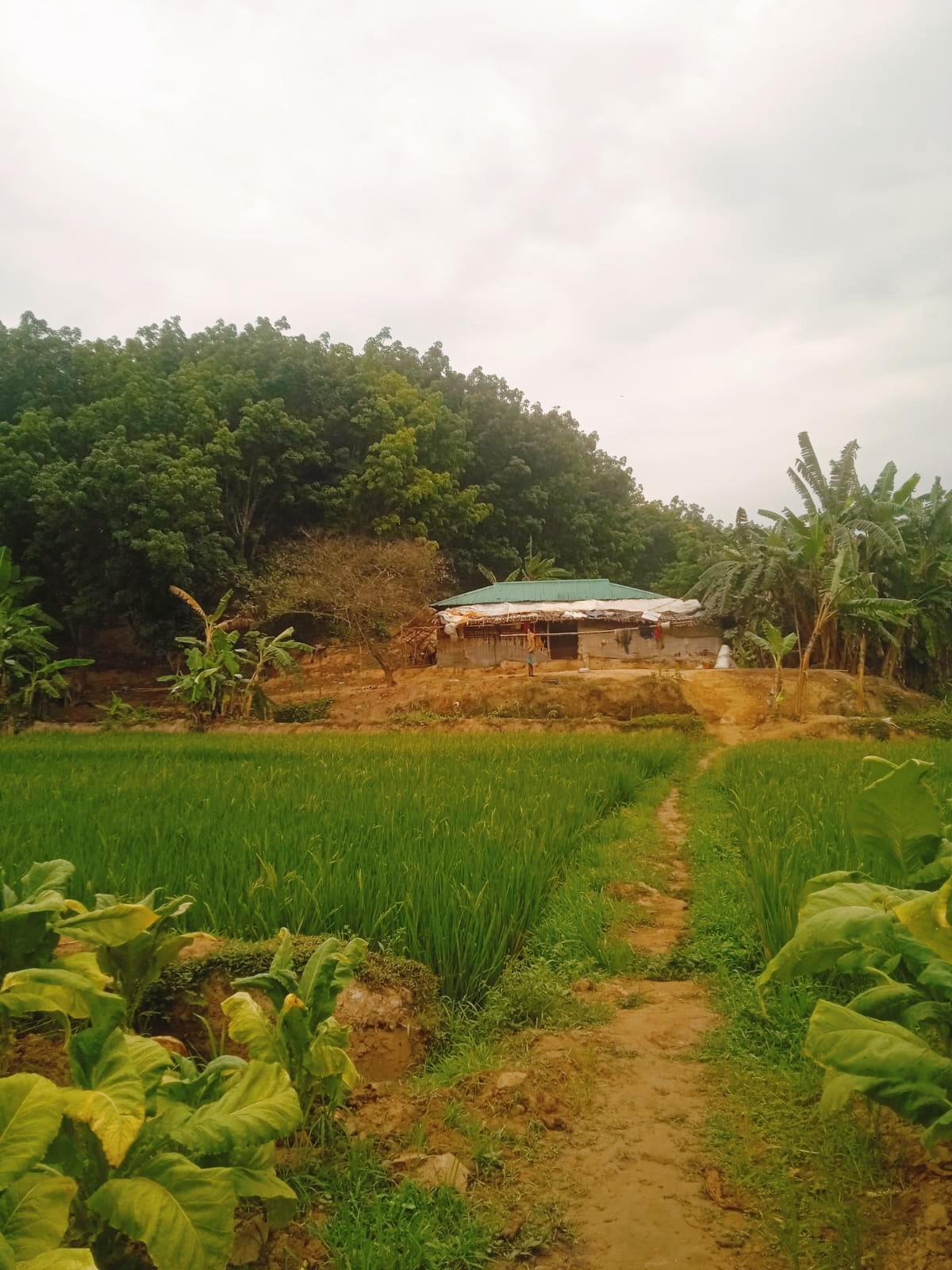 সংযুক্ত ছবি