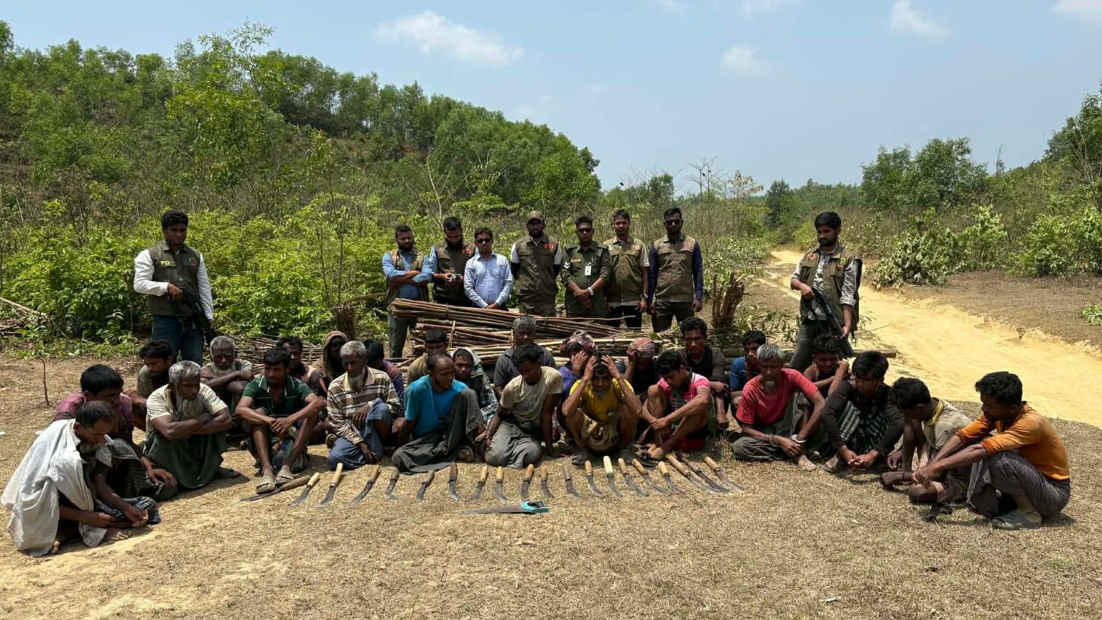 রোহিঙ্গারা কাটছে বনের গাছ, নেওয়া হয়নি আইনি পদক্ষেপ!