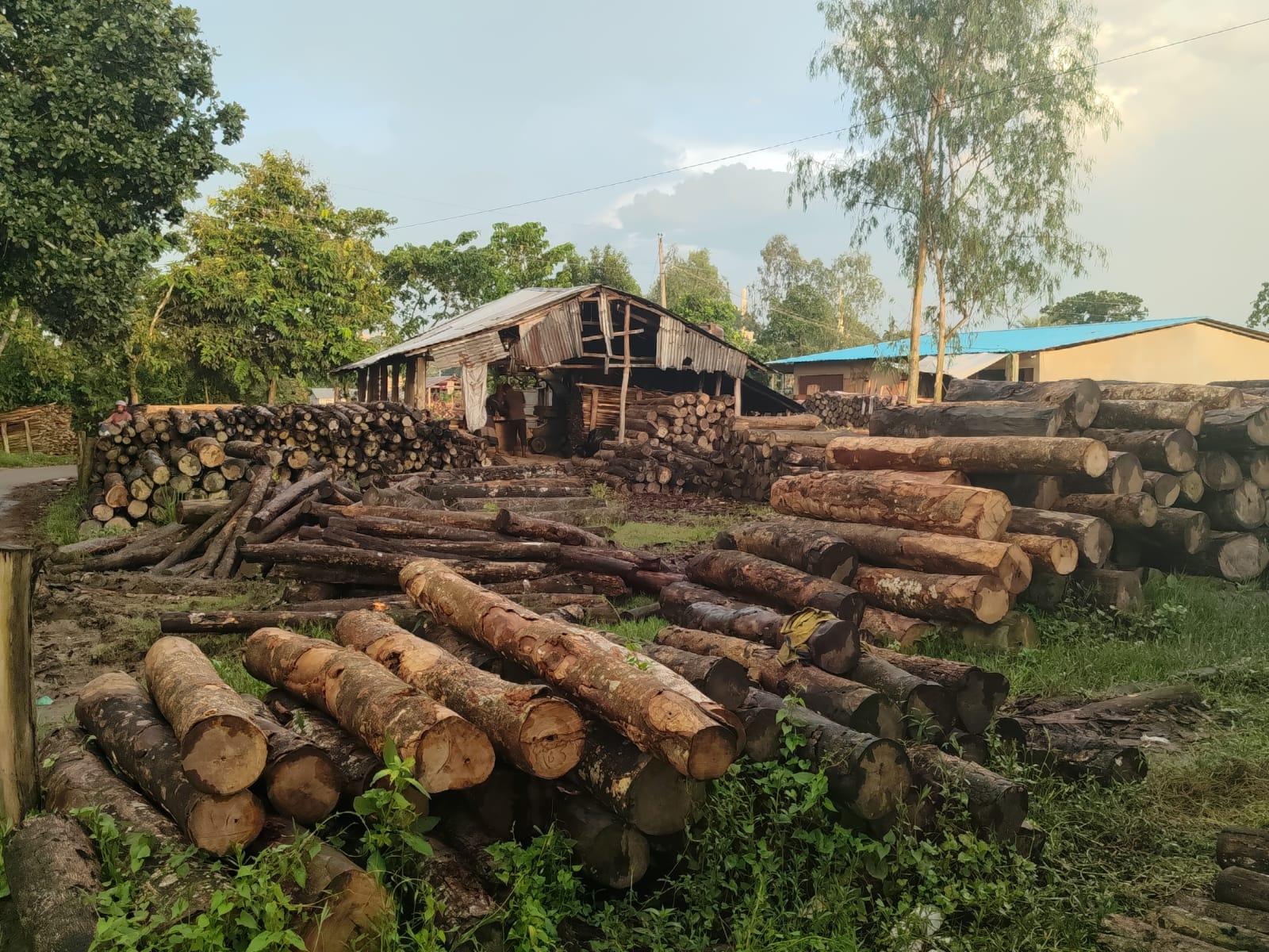 <p>১০০ মিটারের মধ্যে অবৈধ ৯টি করাতকল গিলে খাচ্ছে সংরক্ষিত বনাঞ্চল&nbsp;</p>

<p>&nbsp;</p>