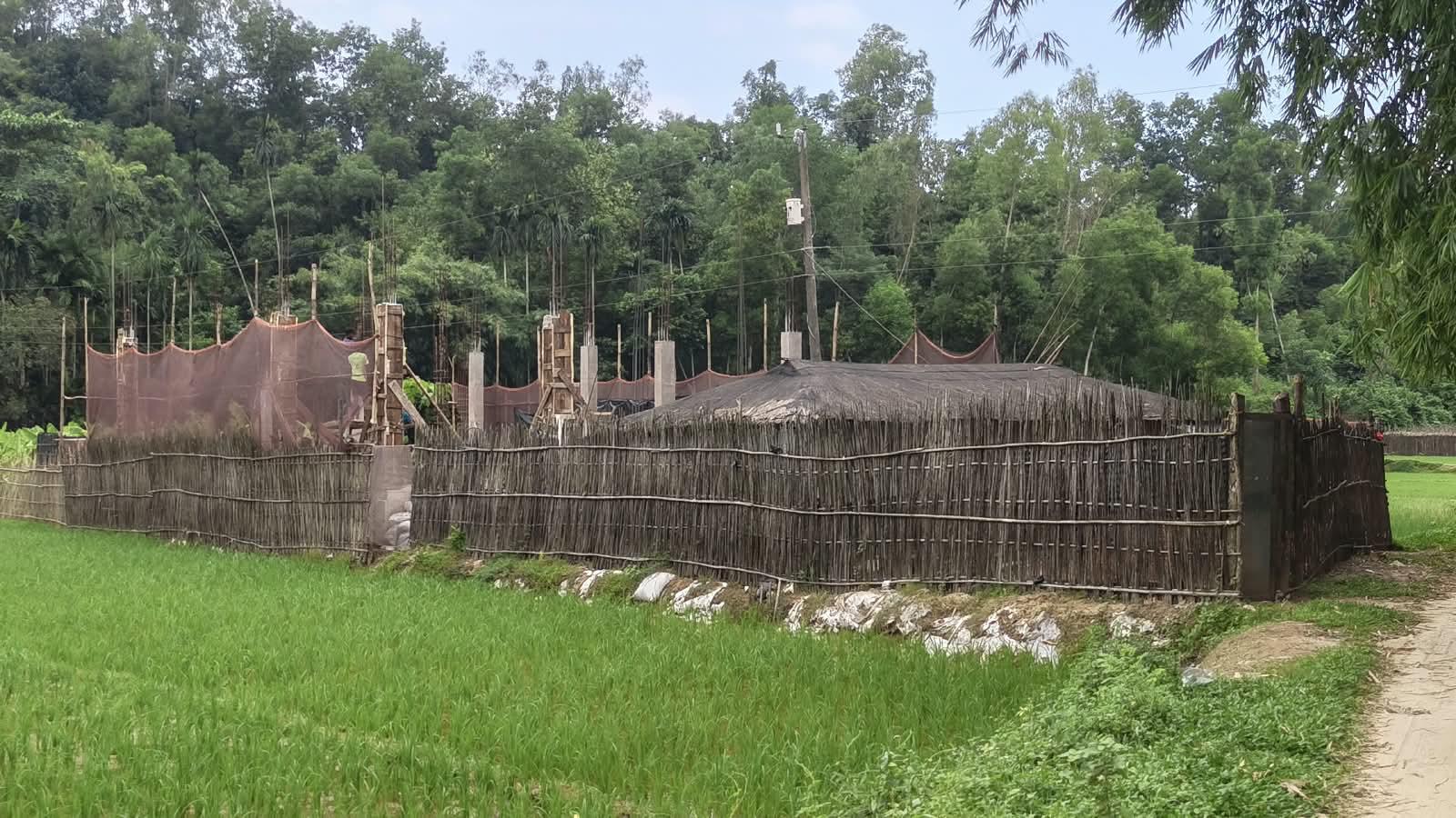 <h1>&lrm;সংরক্ষিত বনাঞ্চলে বহুতল দালান; দেখার কেউ নেই</h1>