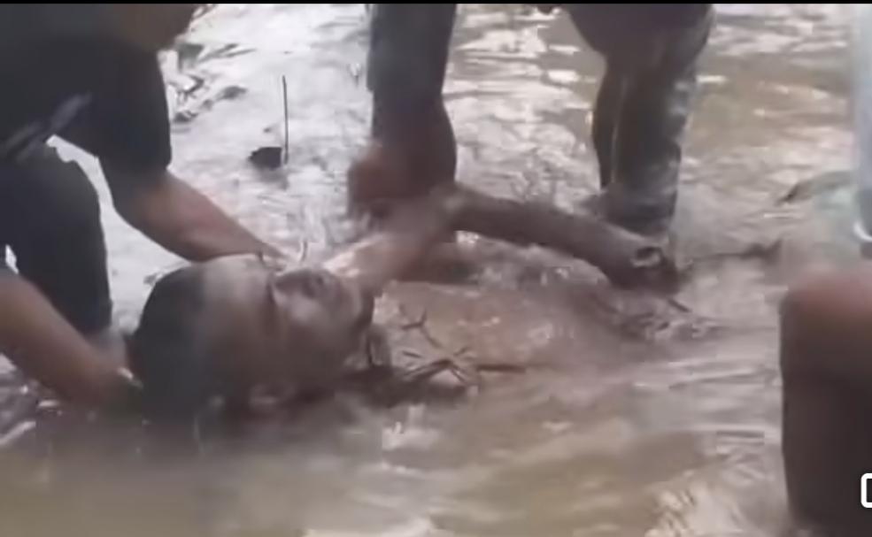 সংযুক্ত ছবি