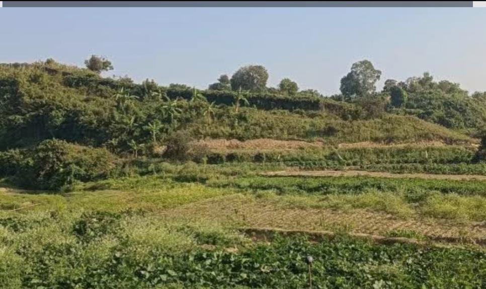 নাইক্ষ্যংছড়ির কোনারপাড়া সীমান্তে চোরাকারবারী-বিজিবি মুখোমুখি আইনি পথে হাটছে বিজিবি