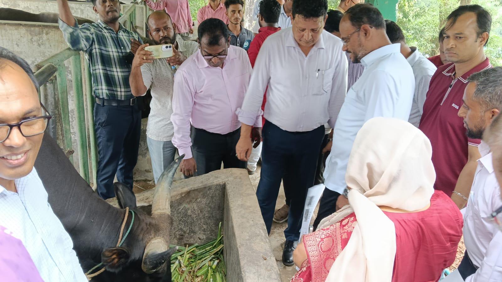 <h1>নাইক্ষ্যংছড়িতে গয়াল কেন্দ্র পরিদর্শন শেষে ছাগল-ভেড়া বিতরণ করেন- প্রতিমন্ত্রী সালাউদ্দিন টুকু</h1>