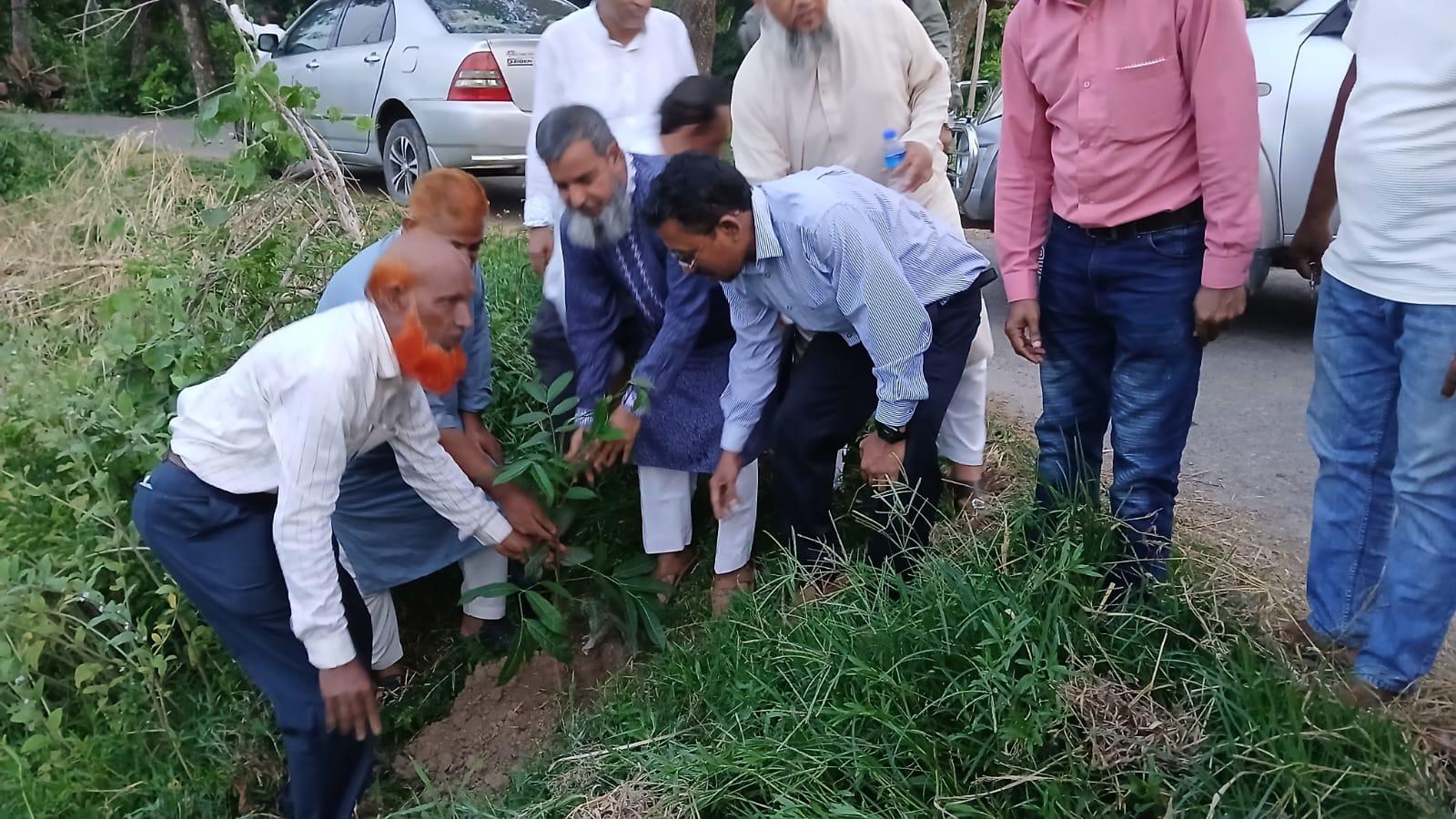 হাটহাজারীতে ভবানীপুর সমবায় সমিতির আলোচনা ও বৃক্ষরোপণ