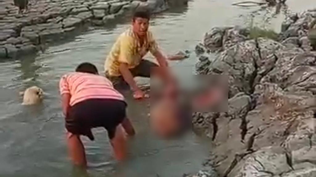 মিরসরাইয়ে প্রকাশ্যেহরিণ জবাই