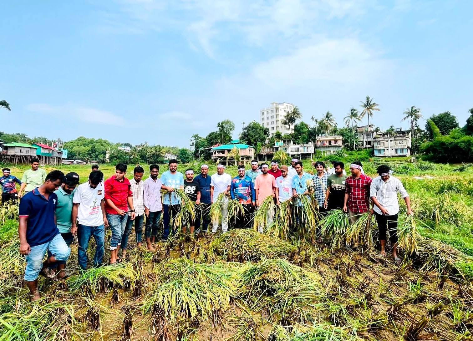 রাঙামাটিতে কৃষকের দান কেটে দিল ছাত্রদল