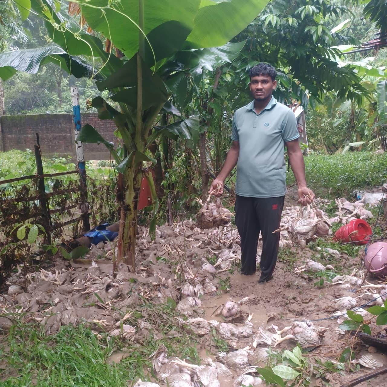 <h1>বাঙ্গালহালিয়াতে টানা বৃষ্টিতে প্লাবিত হয়ে সাদেক পোল্ট্রি ফার্মের ৫ লক্ষ টাকার মুরগী পানিতে তলিয়ে গেছে</h1>