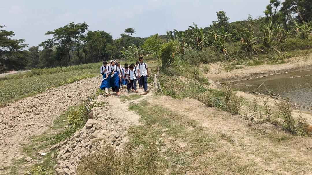বর্ষায় অচল সড়ক, প্রায় বন্ধ হয়ে যায় পাঠদান—রাঙ্গুনিয়ার হালিমপুরে শিক্ষার্থীদের দুর্ভোগ