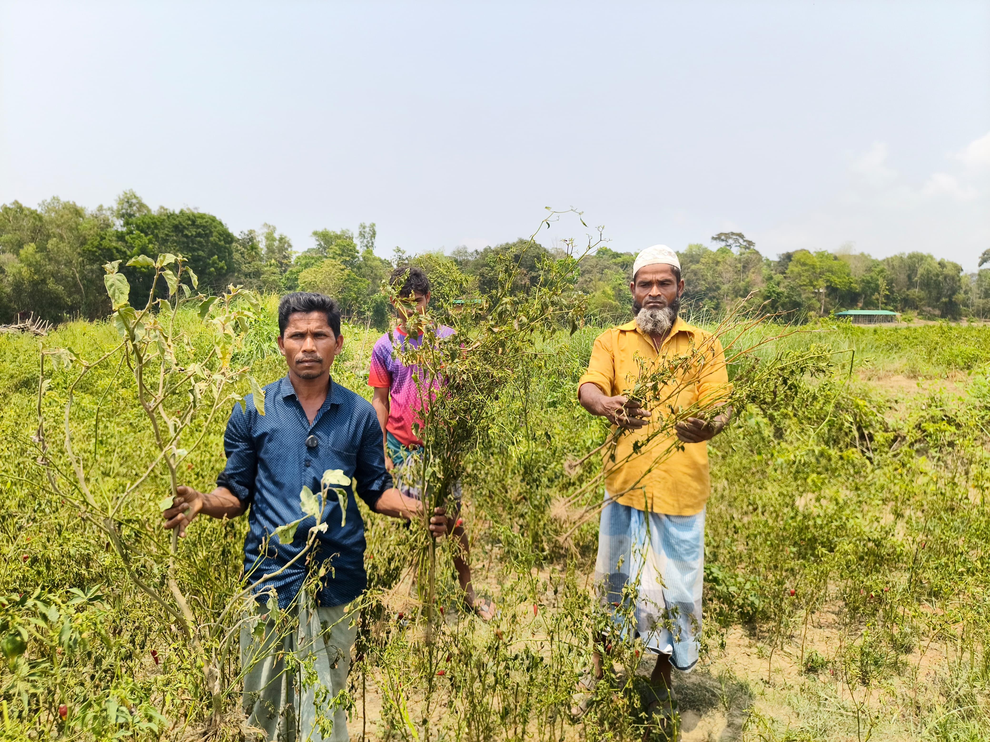 সংযুক্ত ছবি