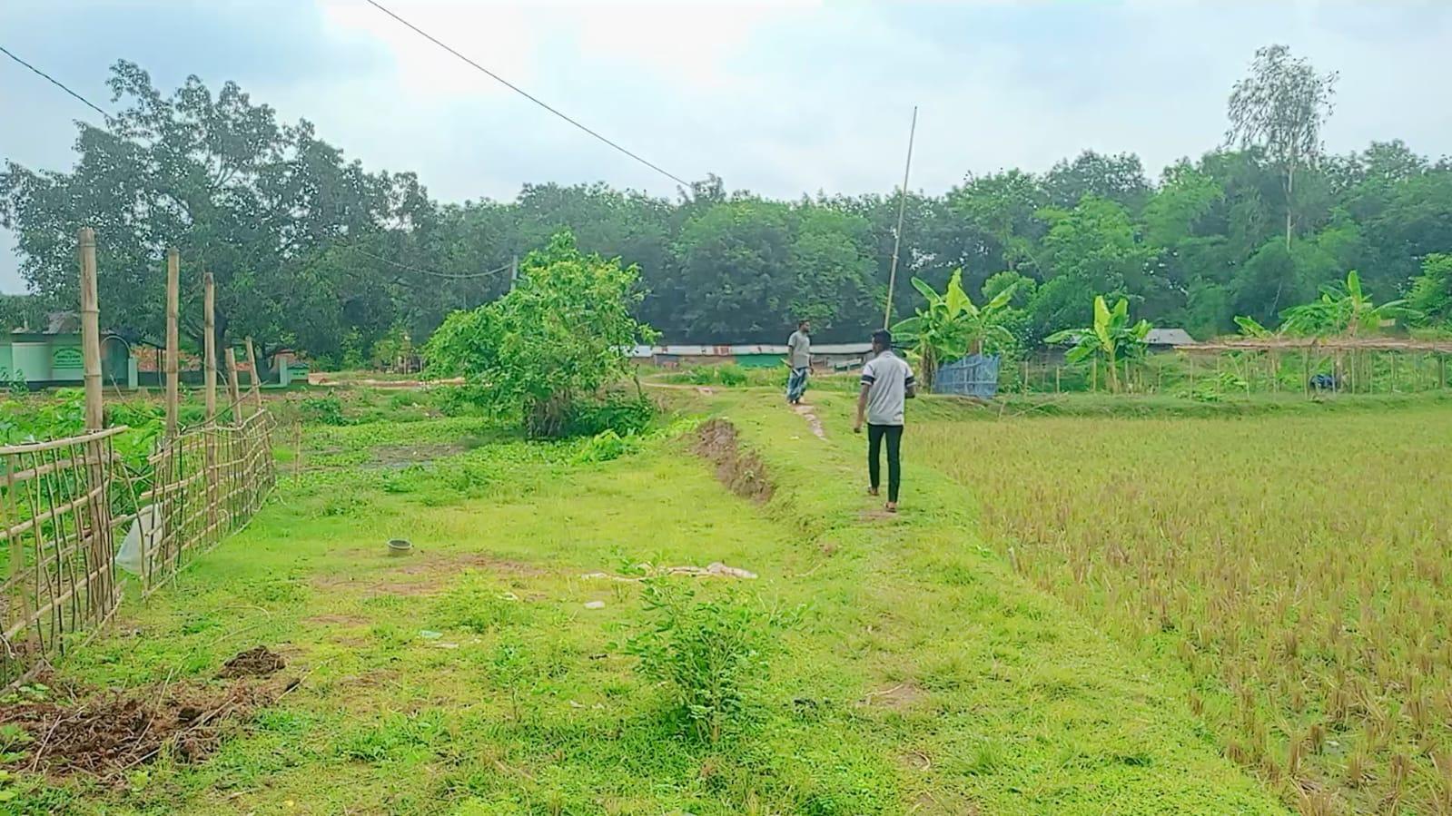 একটি সড়কের অপেক্ষায় দুই যুগ দুর্ভোগে পূর্ব আইলিখিলবাসী
