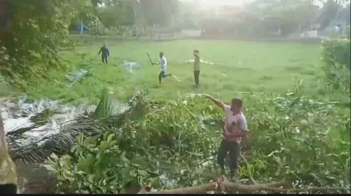 <h1>আনোয়ারায় ভূমি বিরোধের জেরে দুই শতাধিক গাছ কর্তন, কারাগারে যুবক</h1>