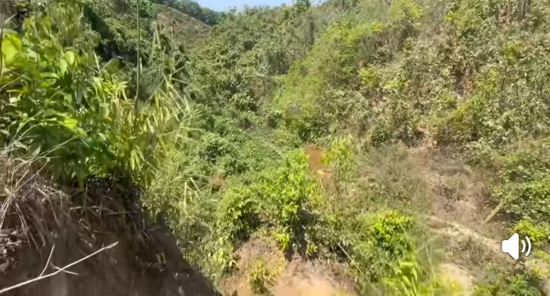 সংযুক্ত ছবি