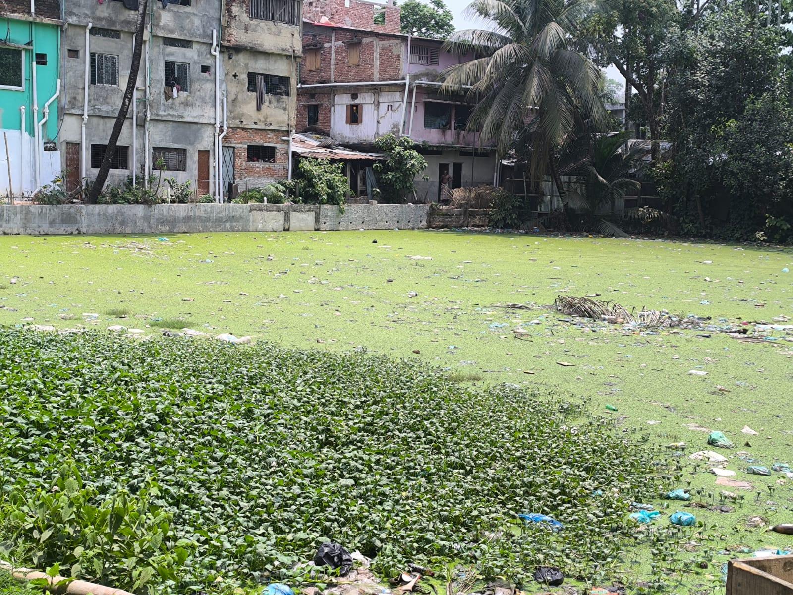 সংযুক্ত ছবি