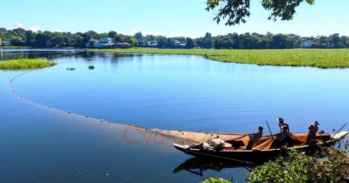 সংযুক্ত ছবি