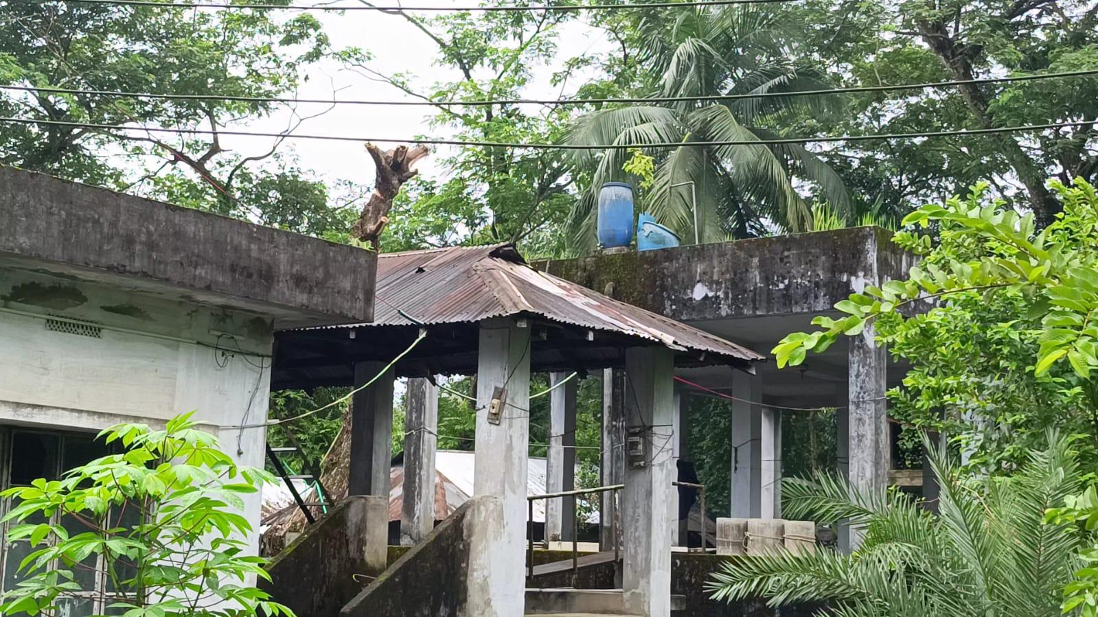 সংযুক্ত ছবি