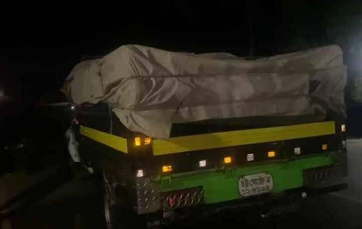 পেকুয়ায় রাতভর মাছ পাচার: সিন্ডিকেটের দৌরাত্ম্যে প্রশ্নবিদ্ধ প্রশাসনের ভূমিকা