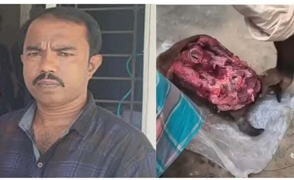 সংযুক্ত ছবি